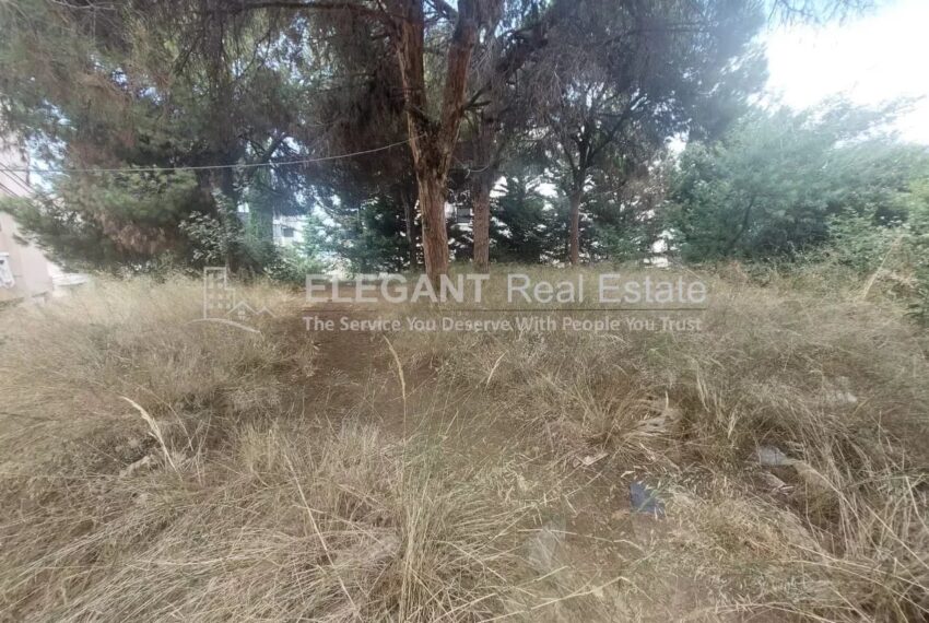 Picture-85093236-2-watermark