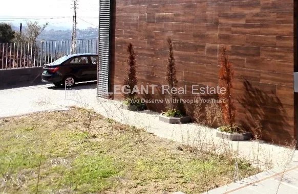 Picture-85111364-10-watermark