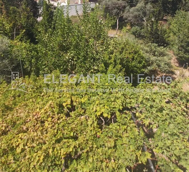 Picture-85132505-1-watermark