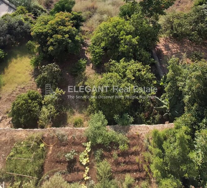 Picture-85132518-1-watermark