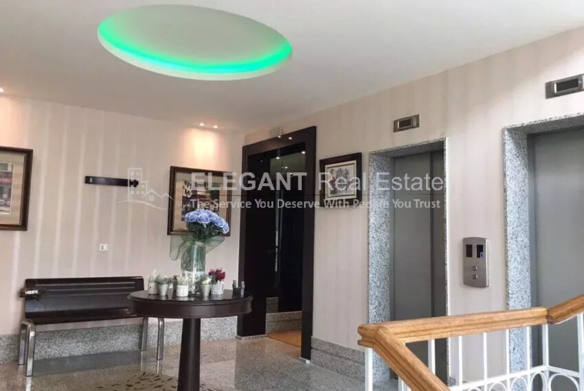 Picture-85139749-39-watermark