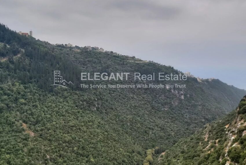 Picture-85156041-6-watermark