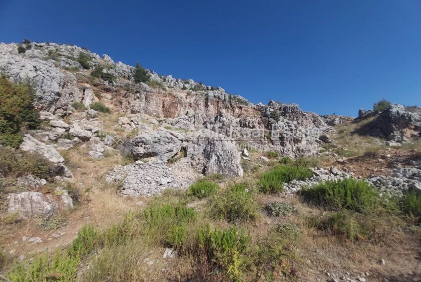 Picture-85157147-2-watermark