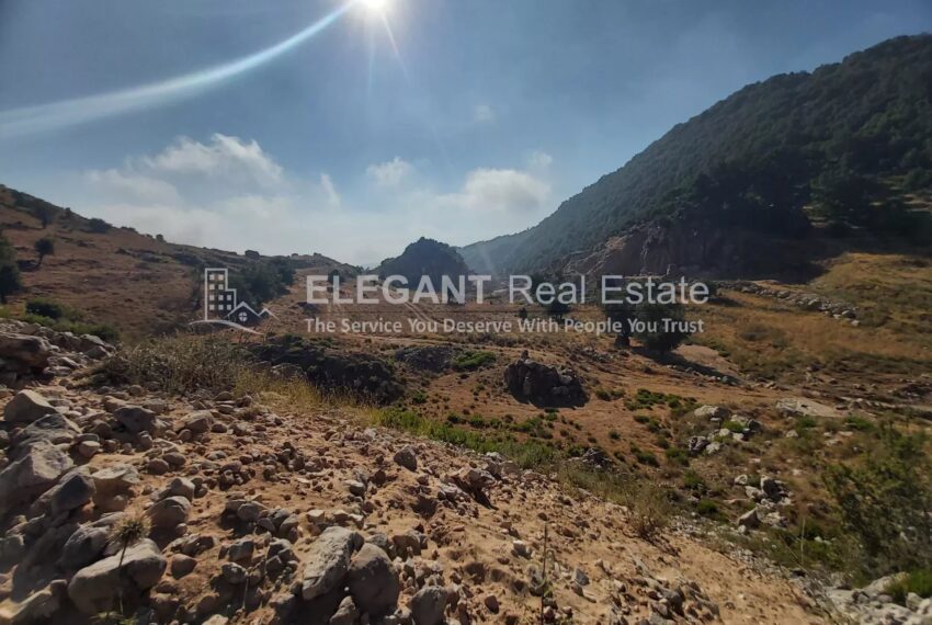 Picture-85157147-3-watermark