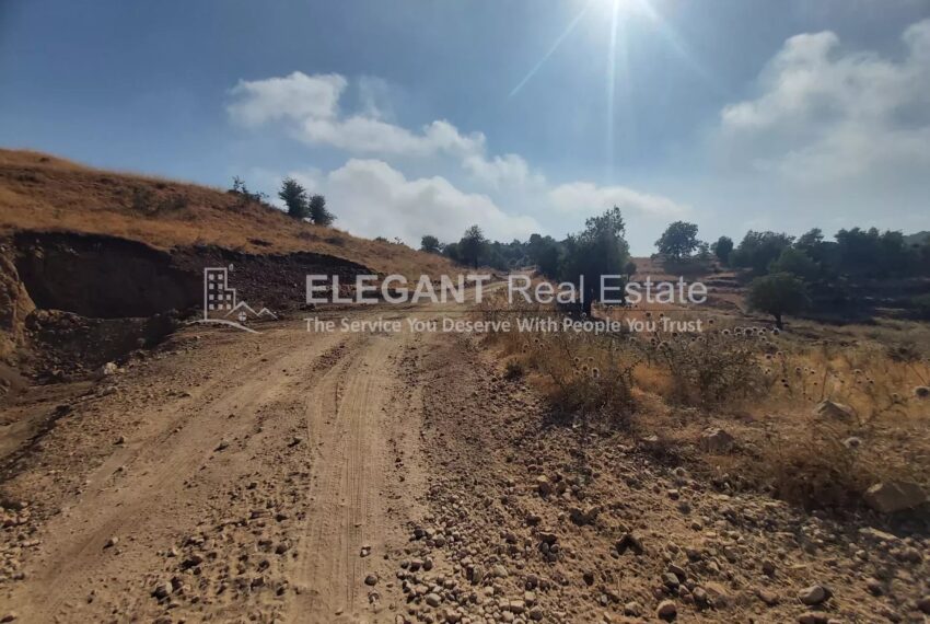 Picture-85157147-4-watermark