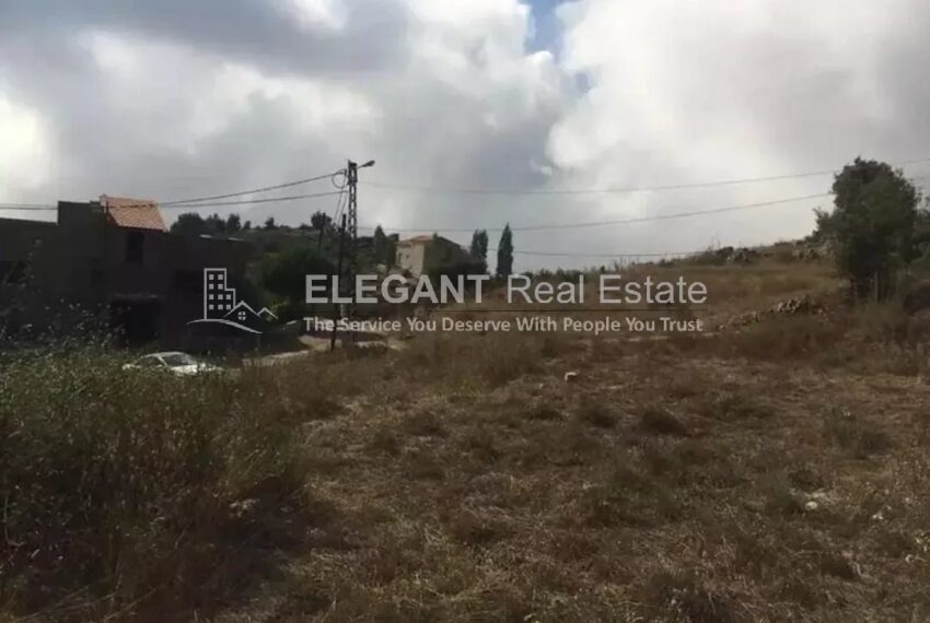 Picture-85160037-3-watermark