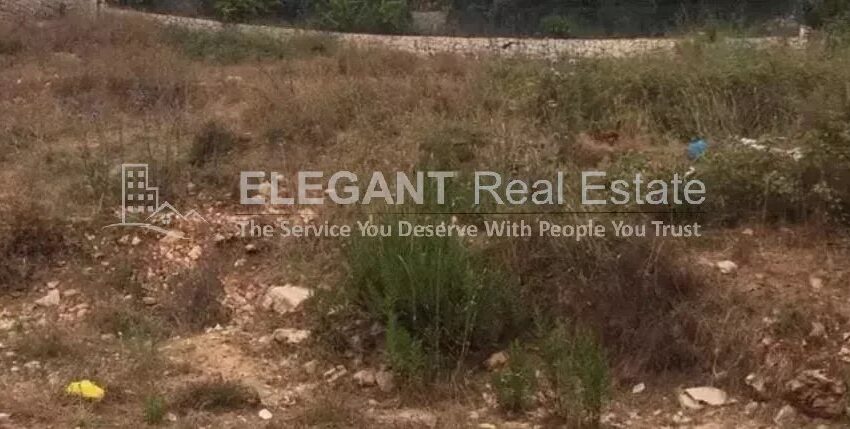 Picture-85160037-4-watermark