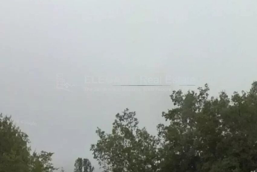 Picture-85163382-2-watermark