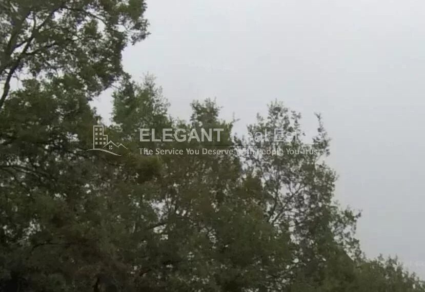 Picture-85163382-3-watermark