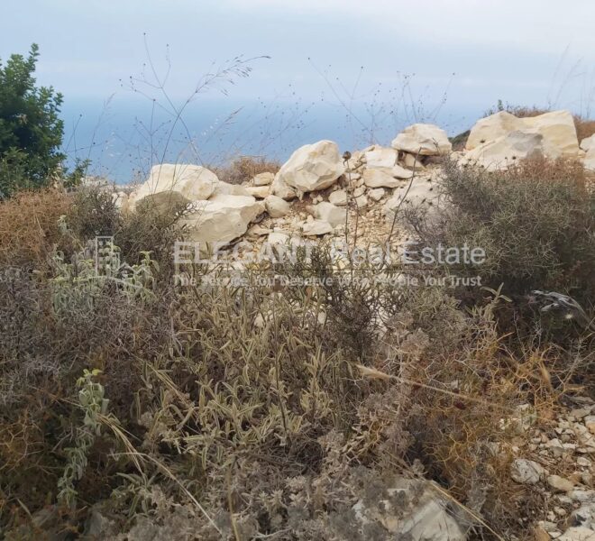 Picture-85164773-1-watermark