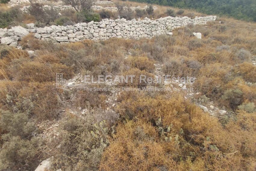 Picture-85164773-2-watermark