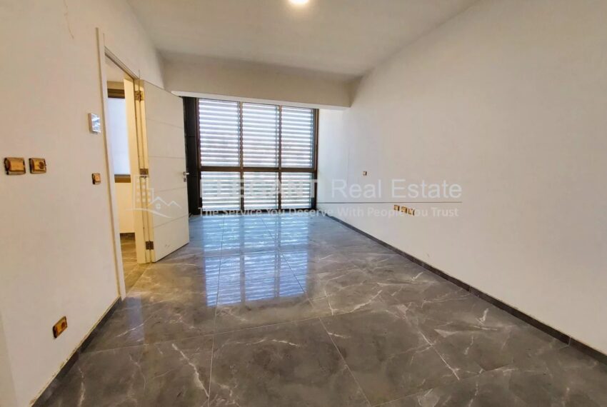 Picture-85167126-12-watermark