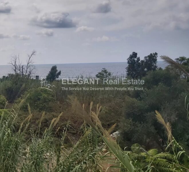 Picture-85204797-1-watermark