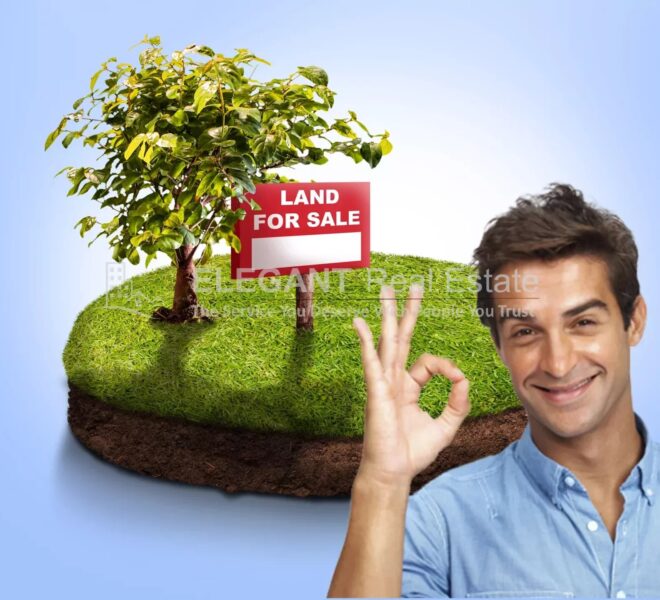 Picture-85241347-1-watermark