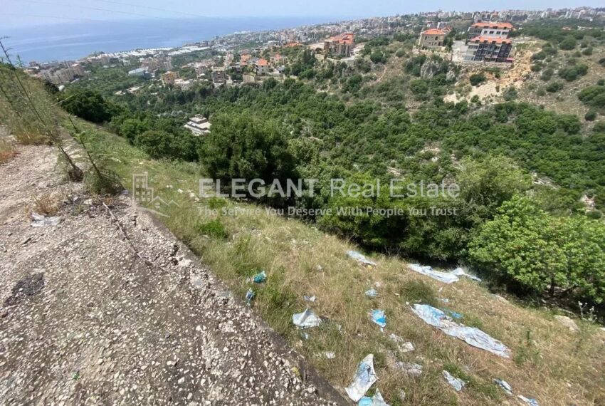 Picture-85250950-1-watermark