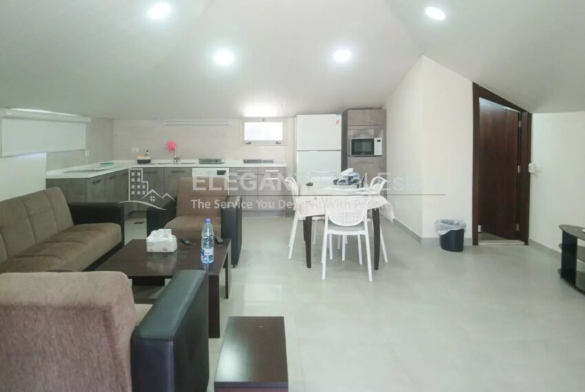 Picture-85261345-2-watermark