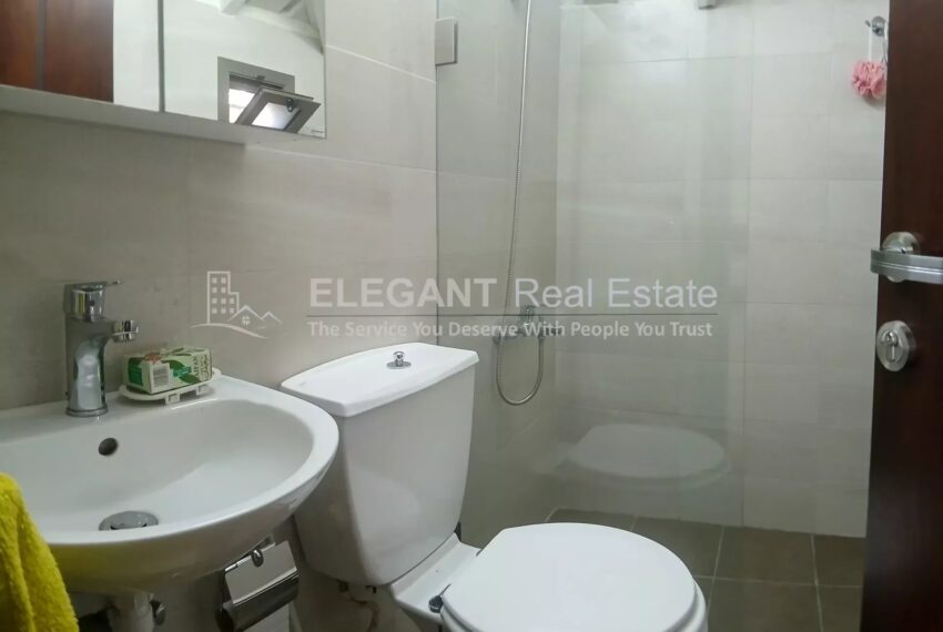 Picture-85261345-4-watermark