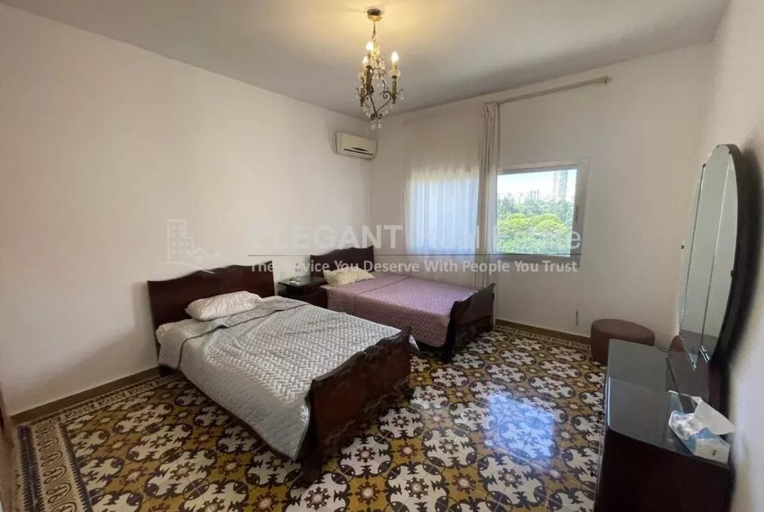 Picture-85265628-6-watermark