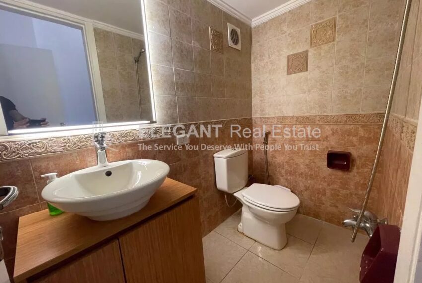 Picture-85265628-7-watermark