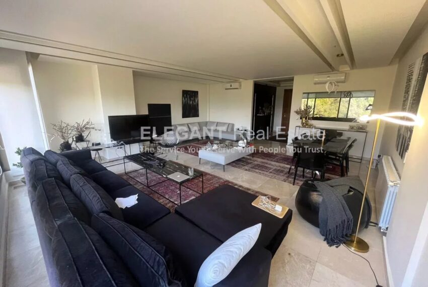 Picture-85337205-8-watermark