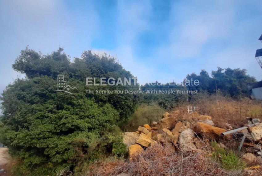 Picture-85300915-2-watermark