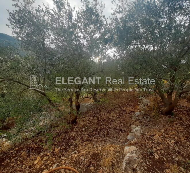 Picture-85302880-1-watermark