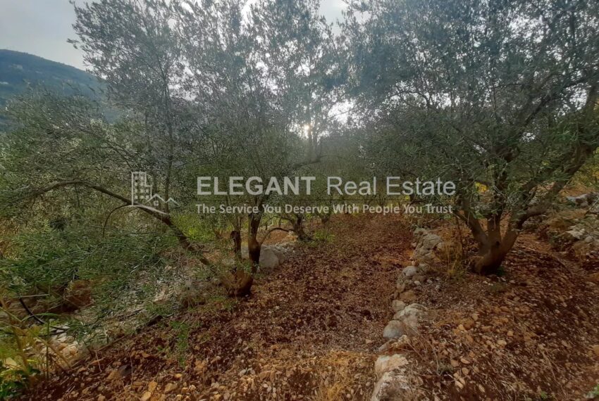 Picture-85302880-1-watermark