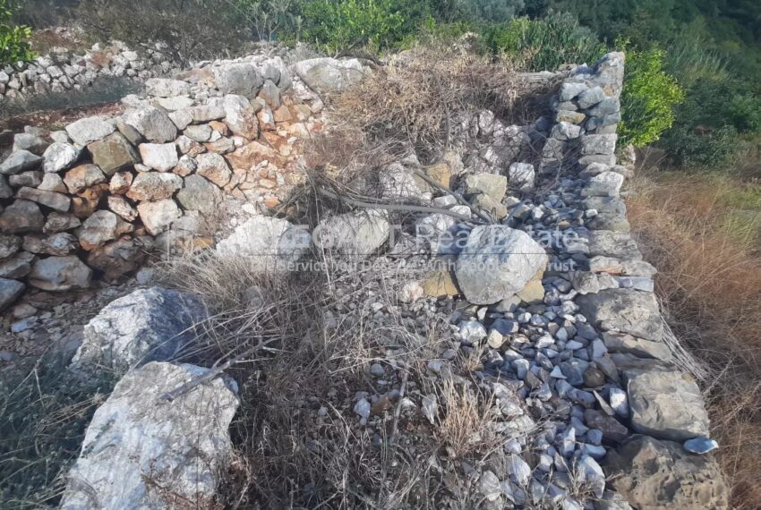 Picture-85302880-3-watermark