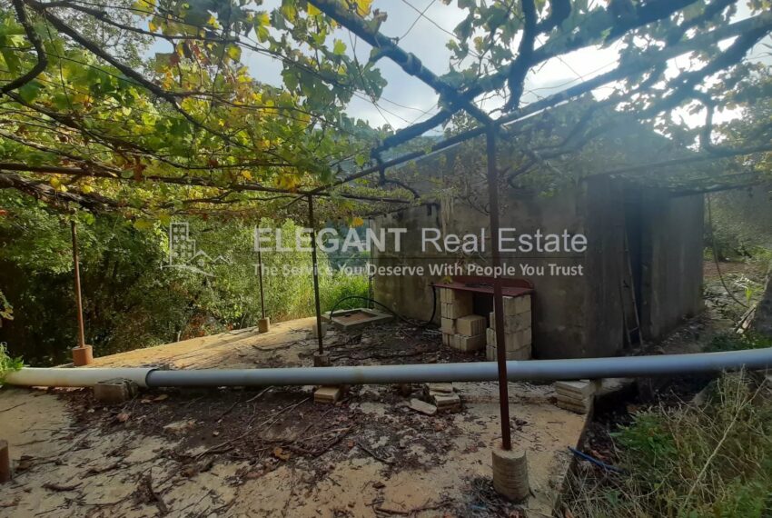 Picture-85302880-4-watermark