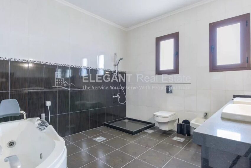 Picture-85305588-6-watermark