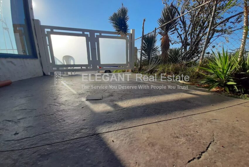 Picture-85352052-2-watermark