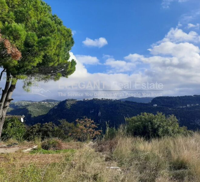 Picture-85464150-1-watermark