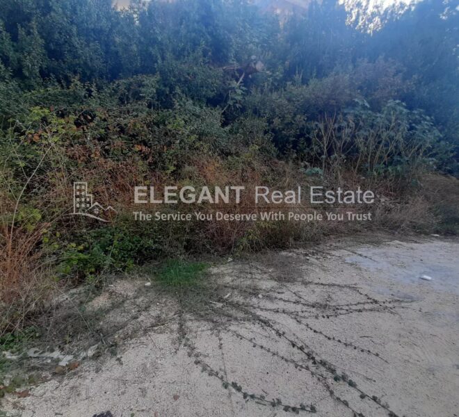 Picture-85407701-1-watermark