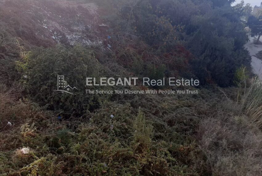 Picture-85407701-2-watermark