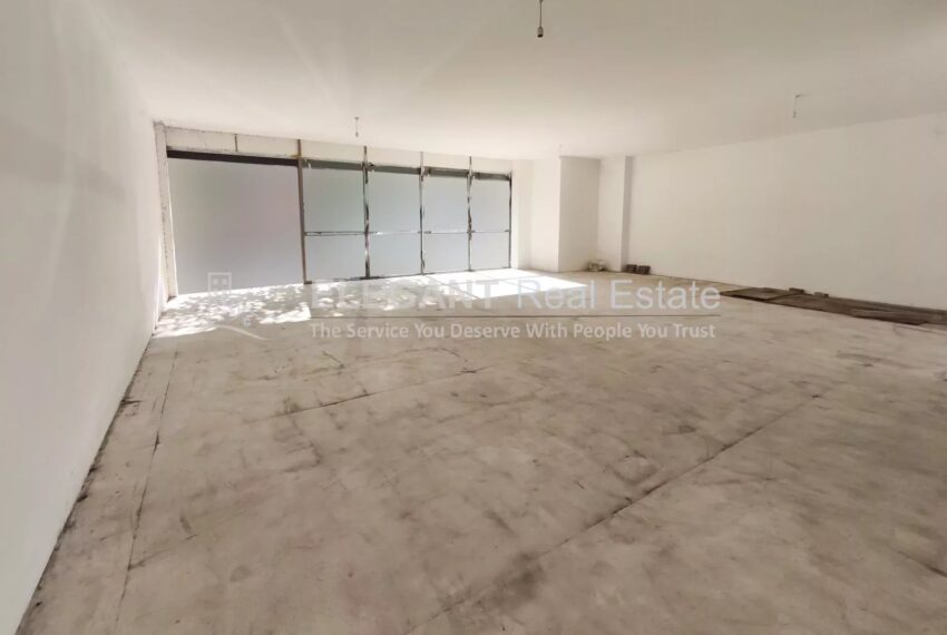 Picture-85421104-3-watermark