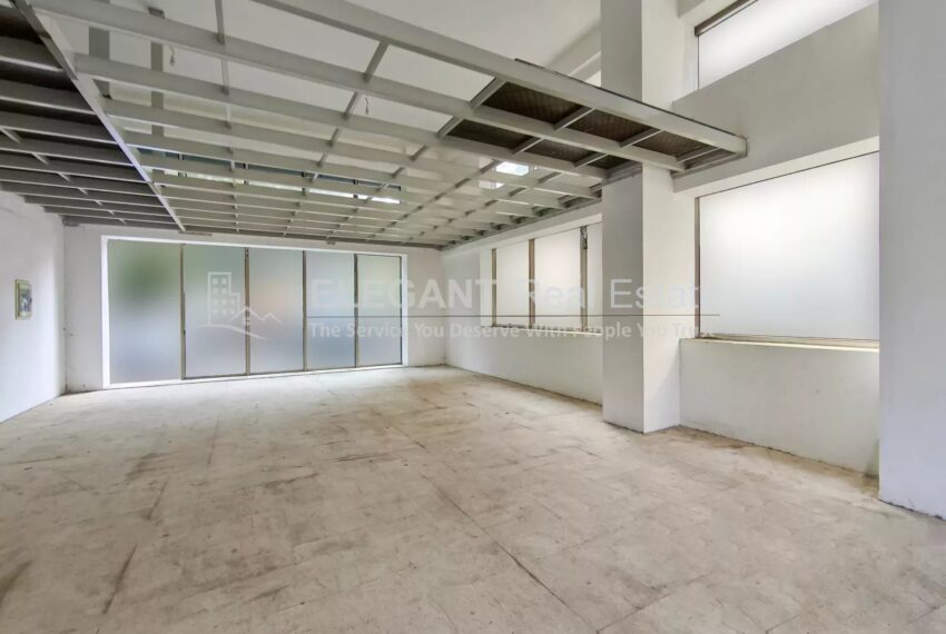 Picture-85421118-4-watermark