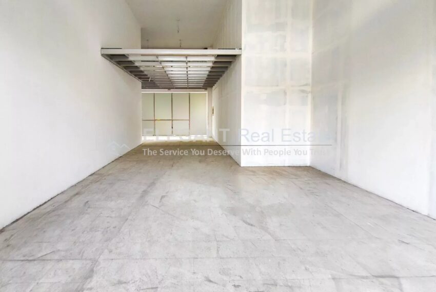 Picture-85421125-3-watermark