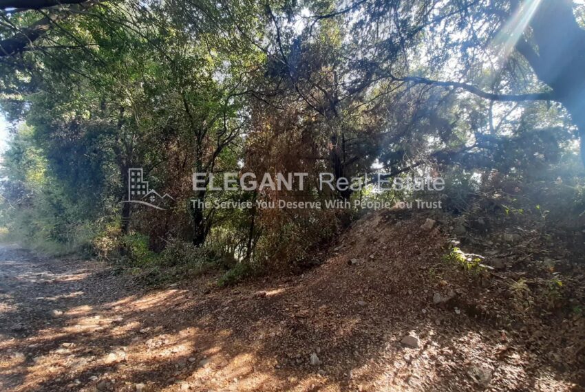 Picture-85425264-2-watermark