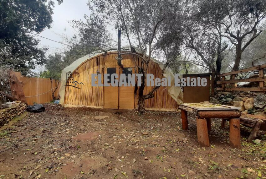 Picture-85533820-2-watermark