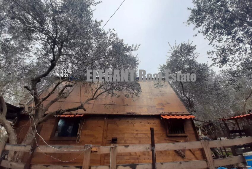 Picture-85533820-3-watermark