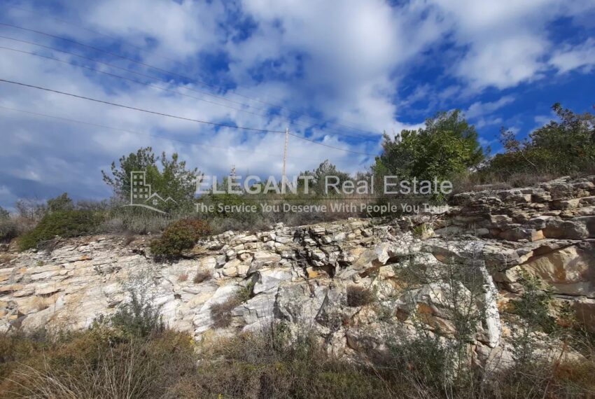 Picture-85486864-3-watermark