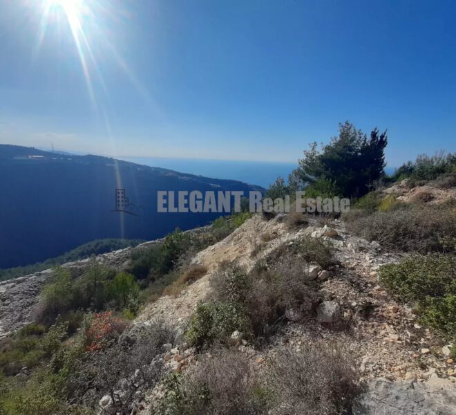 Picture-85516909-1-watermark