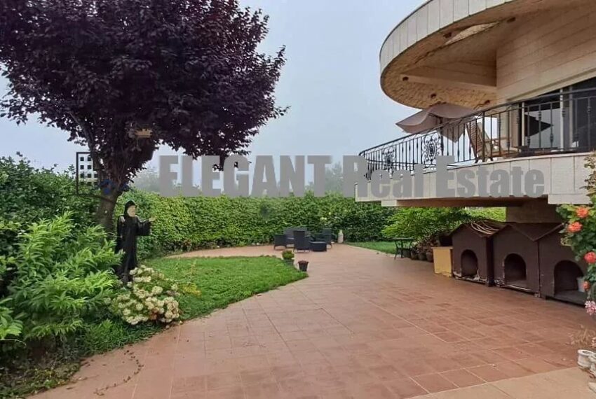 Picture-85531568-12-watermark