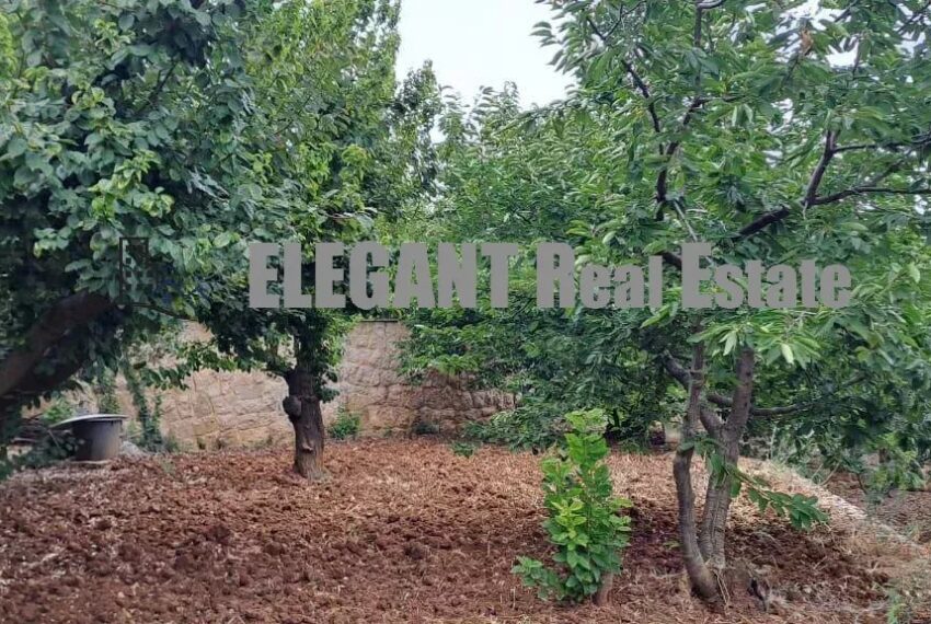 Picture-85531568-13-watermark