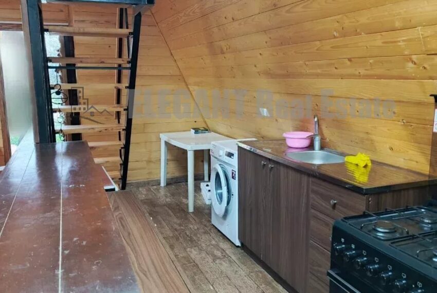 Picture-85607942-2-watermark