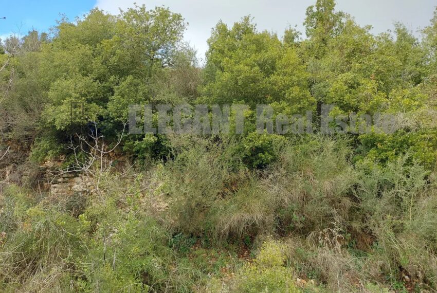 Picture-85647413-2-watermark