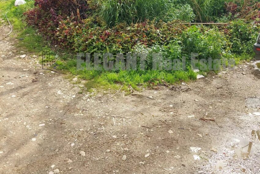 Picture-85647491-2-watermark