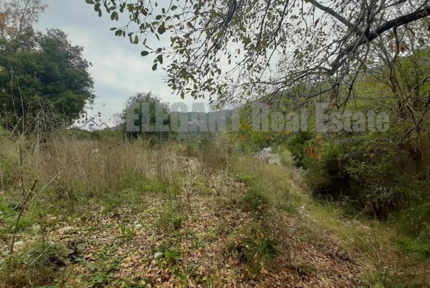 Picture-85655959-2-watermark