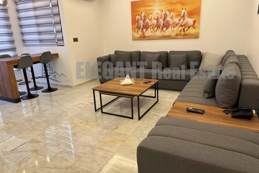 Picture-85675952-2-watermark