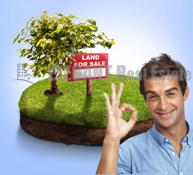 Picture-85688075-1-watermark